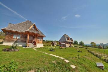 Фото номера Двухместный номер с 1 кроватью Дома для отпуска Casele de vacanta Luca &amp; Vicentiu г. Botiza 10